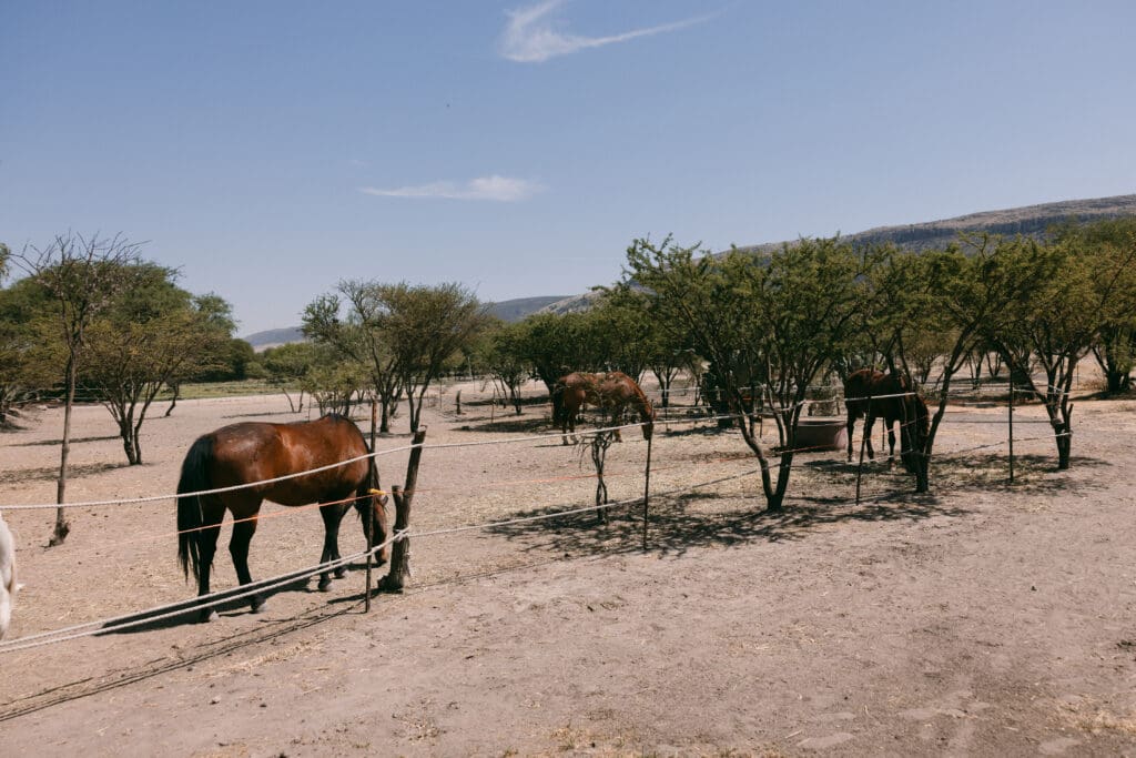 Destination wedding planner UK